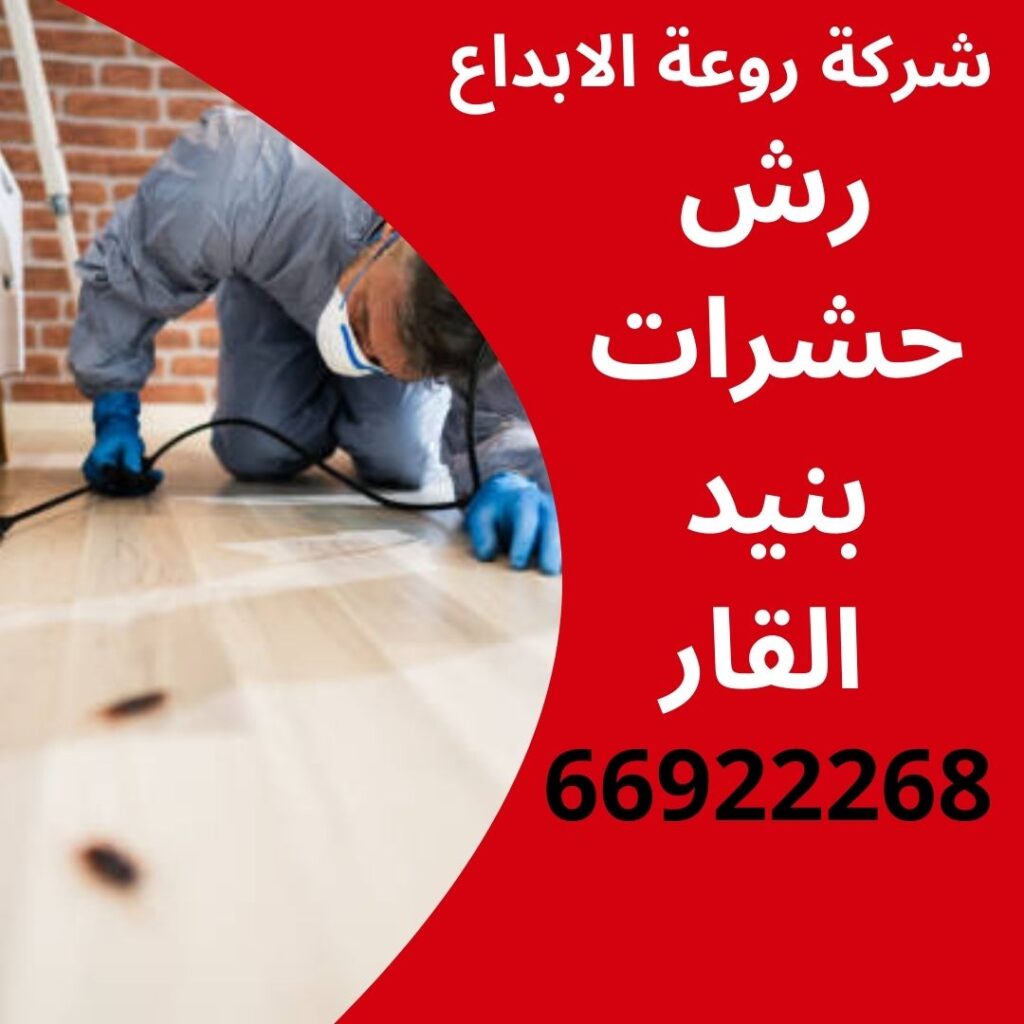 رش حشرات بنيد القار